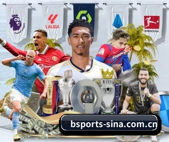 B体育 APP(B SPORTS)